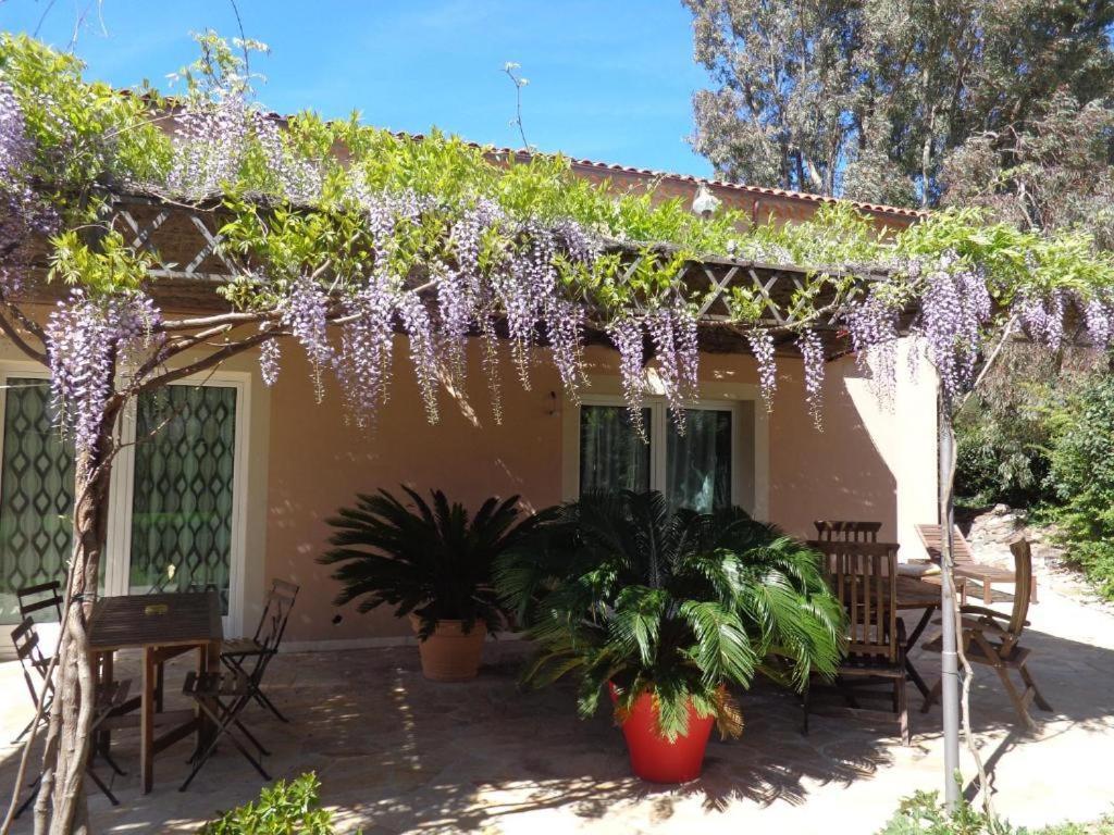 Villa Angelina Garden Grimaud Exterior foto